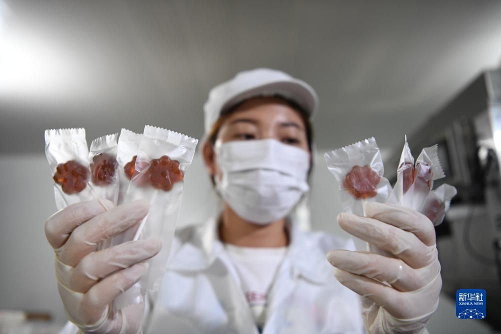千赢娱乐手机版下载安装